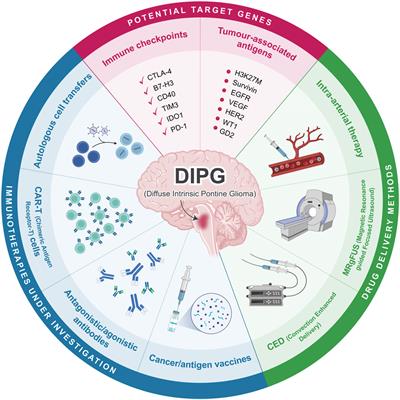 Current immunotherapeutic approaches to diffuse intrinsic pontine glioma